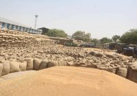इंदौर-उज्जैन संभाग में 22 मार्च से होने वाली फसल की खरीदी फिलहाल टली, कोरोना और खराब मौसम का दिया हवाला