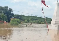 बारिश का संकट नहीं हुआ खत्म, मुरैना के 50 गांव अब भी पानी में डूबे