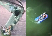 गुजरात के मोरबी में टूटा पुल, 400 लोगों के नदी में डूबने की आशंका