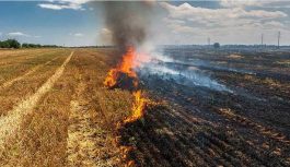 600 करोड़ दिए केंद्र सरकार ने फिर भी इन 4 राज्यों में पराली जलाते मिले किसान